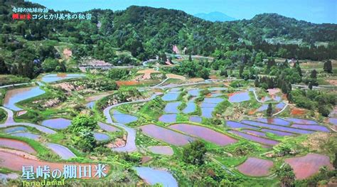  「Designing Your Edible Landscape」:  A Feast for Both the Eyes and the Stomach!